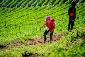 BIB: 
                            <button type="button" onclick="openModal(19161634)" class="btn btn-primary btn-sm float-right btn-popup" data-toggle="modal" data-target=".modal-high-quality">
                        <i class="fas fa-shopping-cart"></i> Add to Cart
                    </button>
                                            <button type="button" onclick="isThisMe(19161634, true)" class="btn btn-success btn-sm float-right btn-popup btn-isme hidden" data-toggle="tooltip" data-placement="bottom" title="นี่คือรูปของคุณใช่ไหม คลิกที่นี่เพื่อเอาเข้าอัลบั้ม">
                        <i class="fas fa-plus"></i> Add to album
                    </button>
                    <button type="button" onclick="isThisMe(19161634, false)" class="btn btn-warning btn-sm float-right btn-popup btn-isnotme hidden">
                        <i class="fas fa-ban"></i> Remove from album
                    </button>